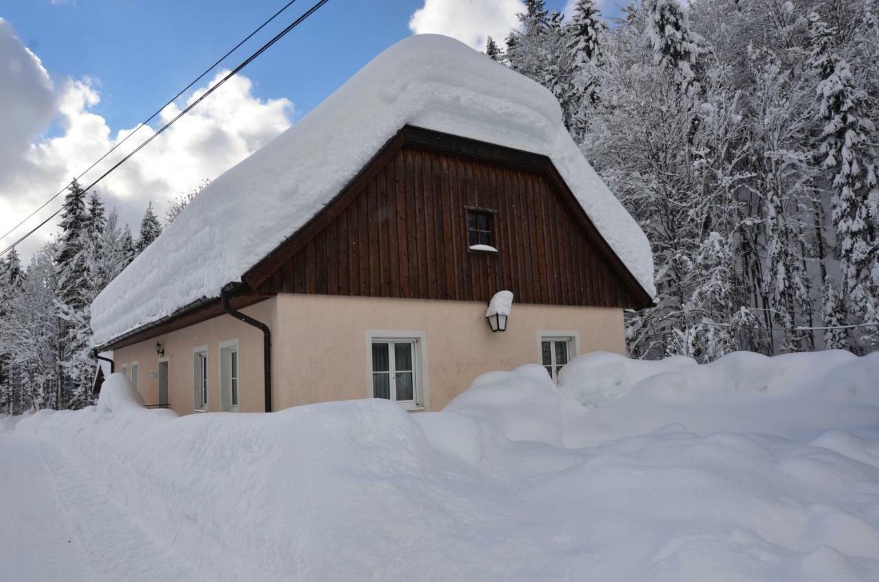 Haus Rosina Villa Admont Exterior photo